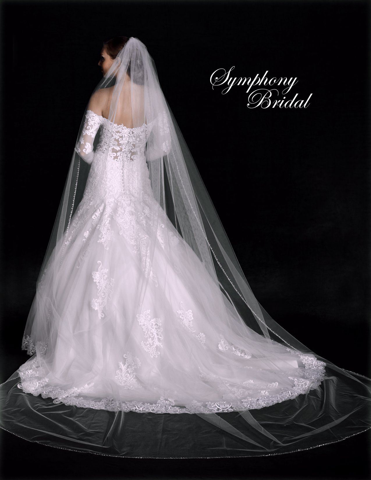 Model wearing off the shoulder wedding dress and tulle veil